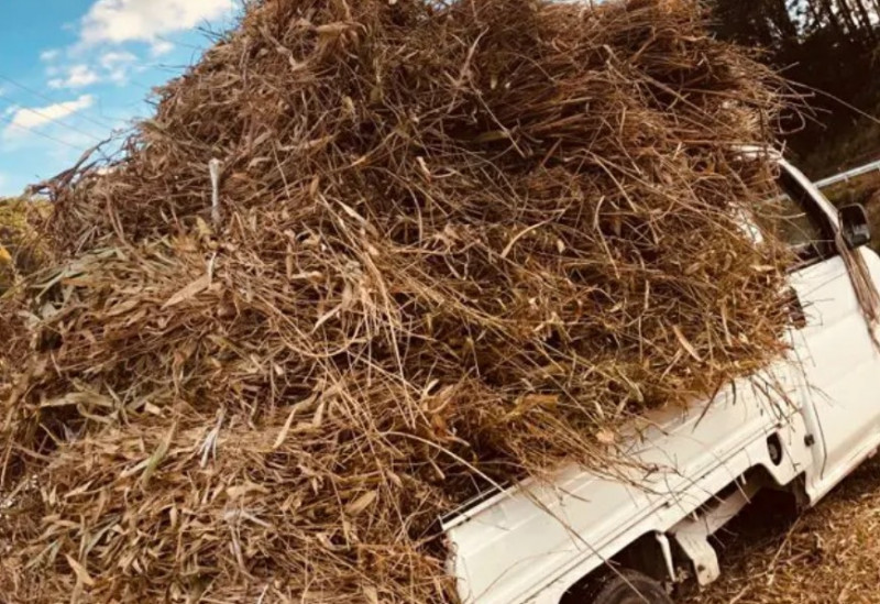 スクリーンショット 2025-10-17 212356