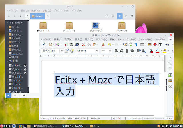 Ubuntu_18.04_CinnamonFcitxMozc_7