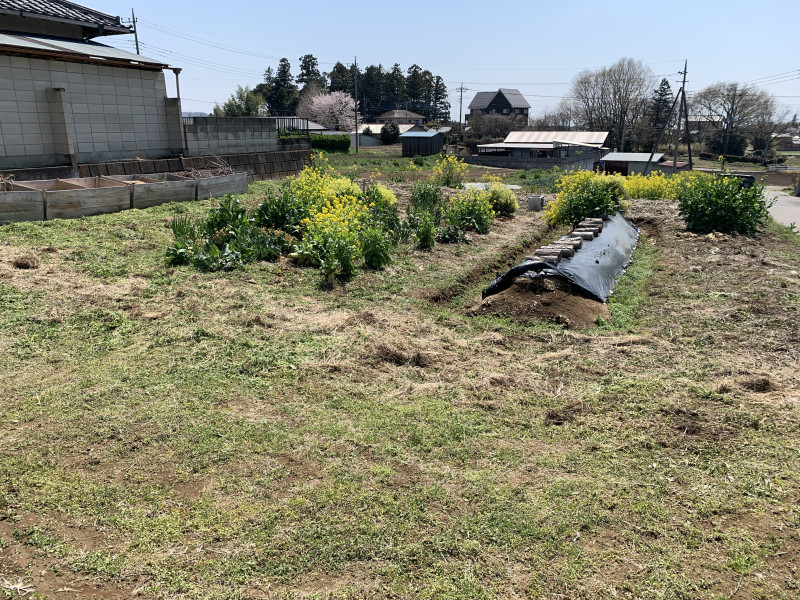 26-04-03 11-53-06 4232