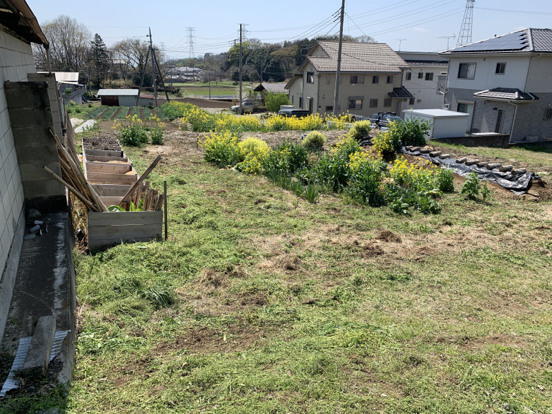 26-04-03 11-53-26 4233