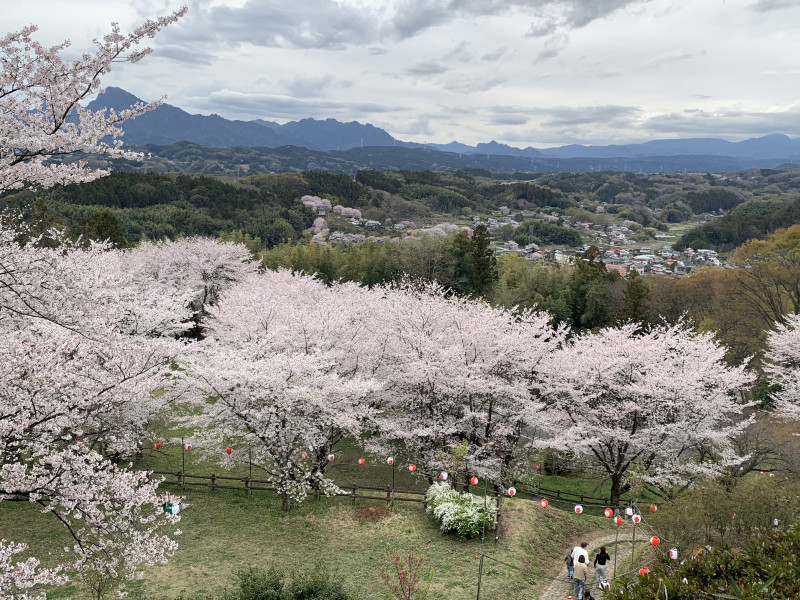 26-04-05 14-17-27 4248