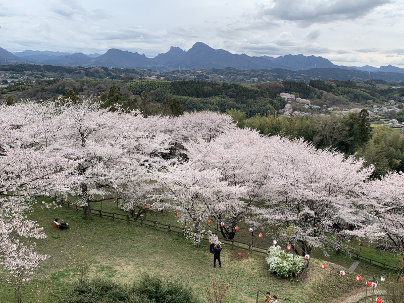 26-04-05 14-22-39 4252