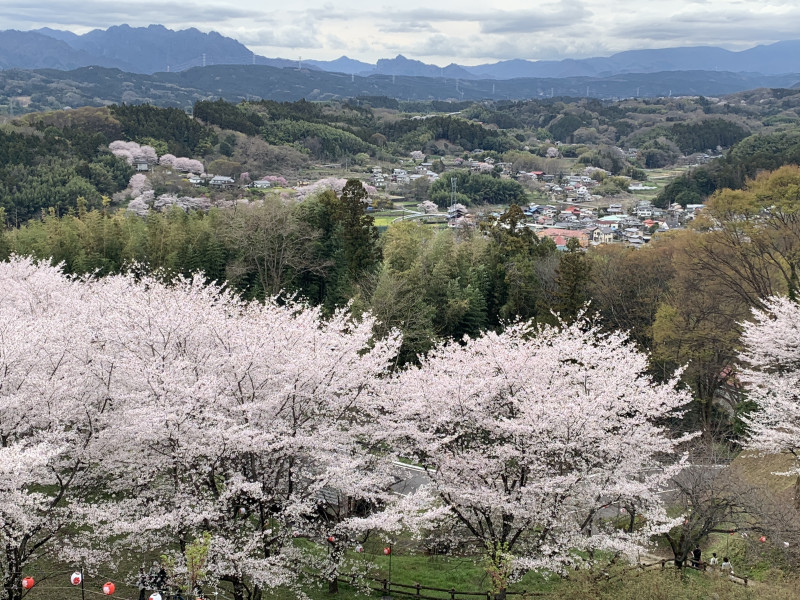 26-04-05 14-20-53 4250