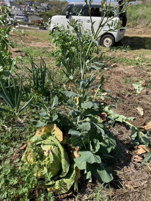 26-04-11 14-15-58 4291