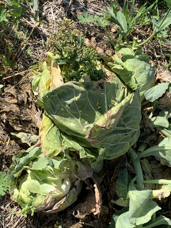 26-04-11 14-16-15 4293