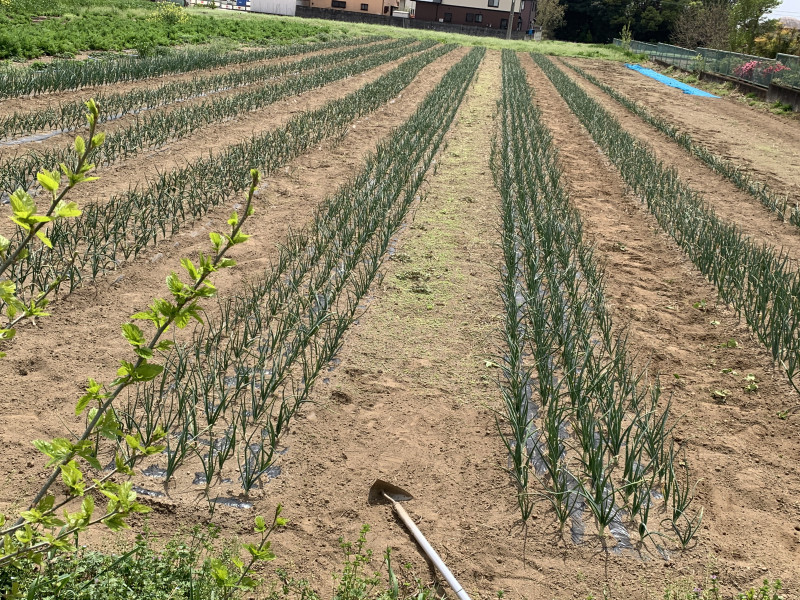 26-04-14 12-22-41 4310