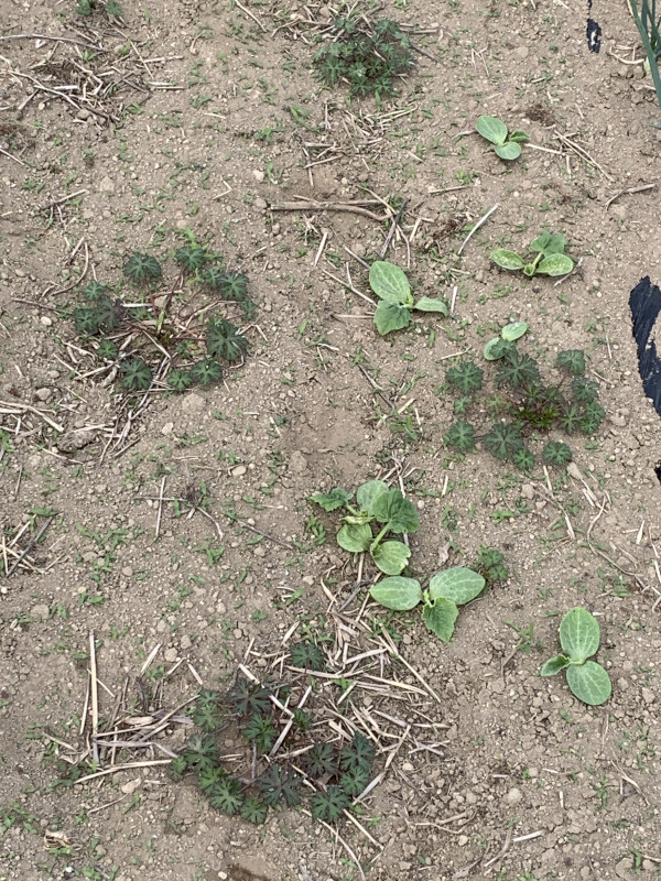 26-04-14 13-05-43 4311