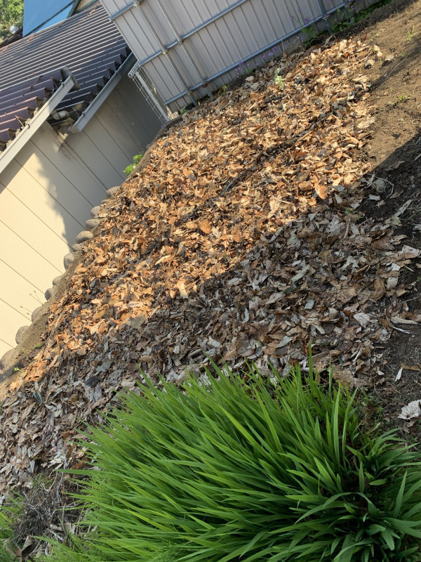 26-04-18 16-01-28 4373