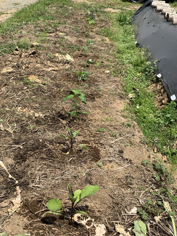 26-04-17 10-57-25 4324