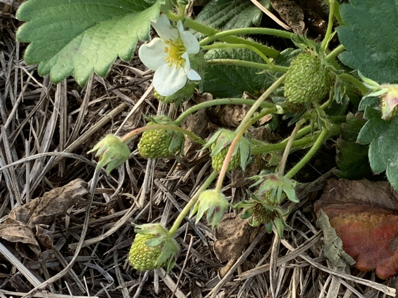 26-04-25 17-19-00 4412