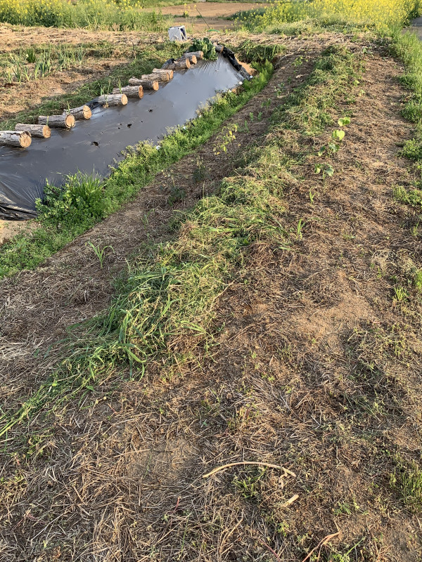 26-04-25 17-25-33 4413